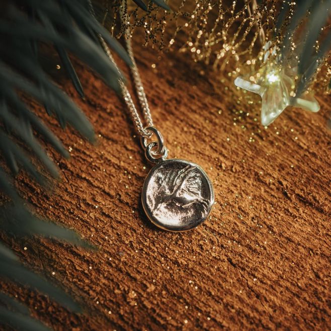 Amulet Kolibřík ze stříbra. #nahrdelnik#stribro#kolikbrik#sperkypokorna